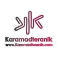 استخدام کارآمدترانیک