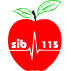 کالای پزشکی سیب115