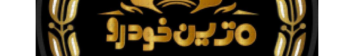 استخدام ایلیا متین خودرو