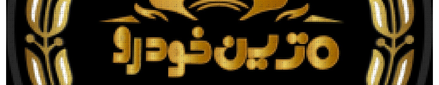 ایلیا متین خودرو