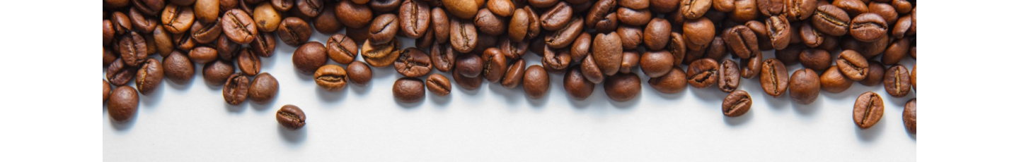 استخدام دهکده سرسبز راوک