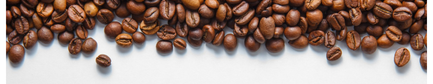 دهکده سرسبز راوک