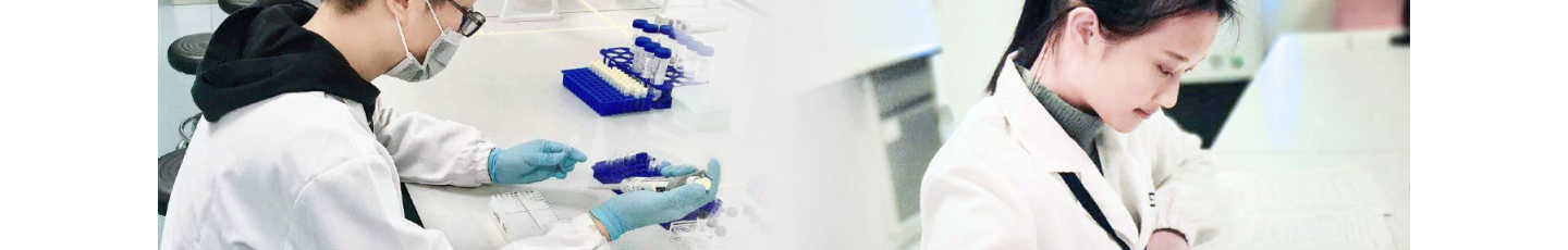 استخدام شرکت کیمیا بنیان صنعت راه ابریشم (جین دون)