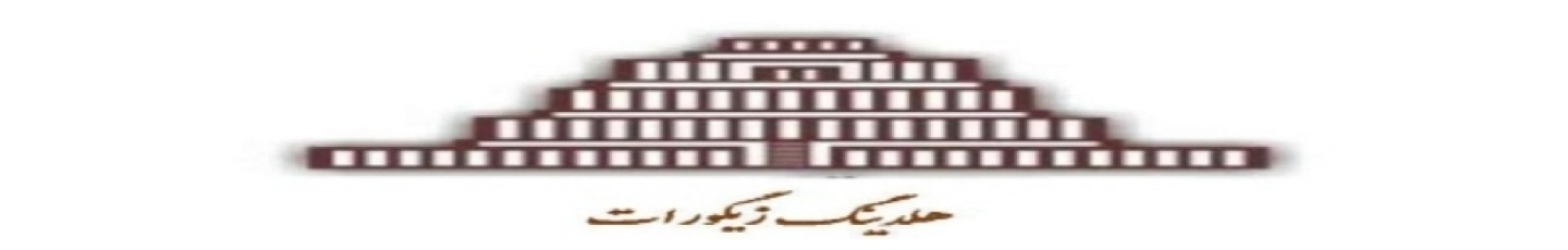 استخدام هلدینگ زیگورات