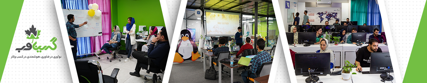 هلدینگ دانش بنیان گرین وب (ایران سرور)