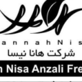 استخدام شرکت هانانیسا