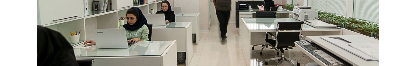 استخدام هلدینگ مگا