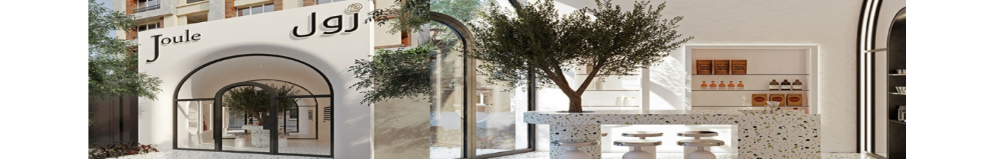 استخدام ژول